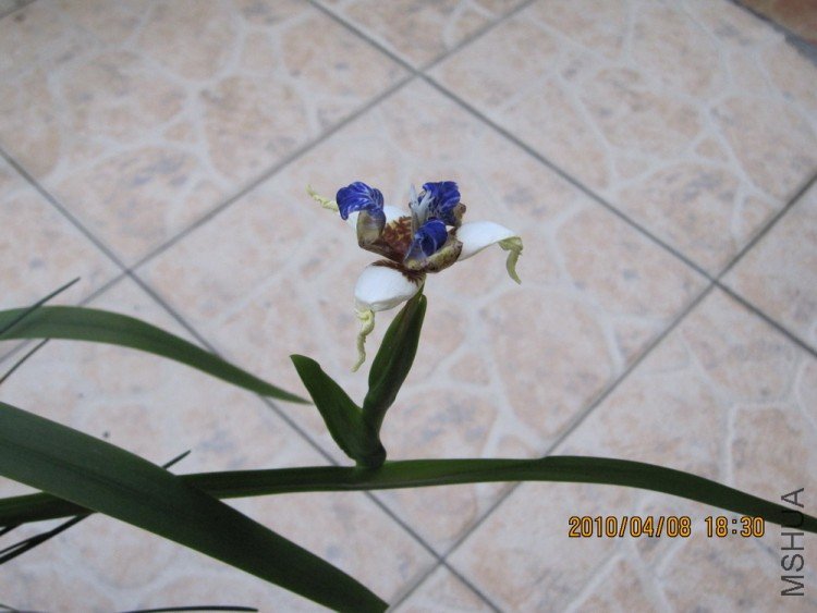 IMG_0023.jpg
