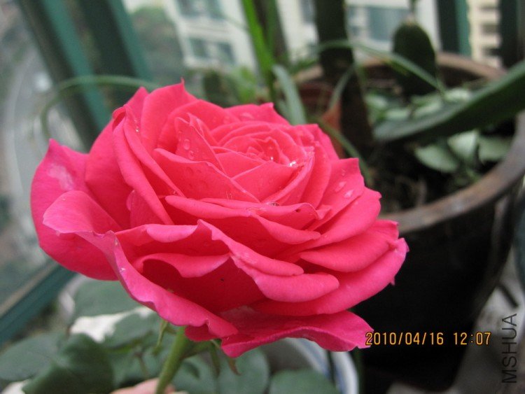 IMG_0026.jpg