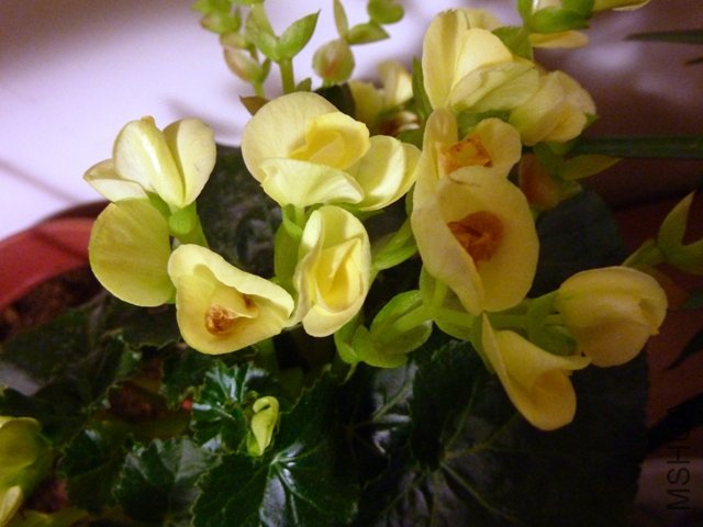 P1010652.JPG
