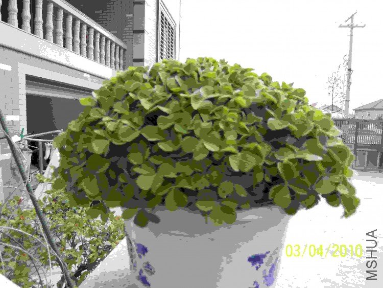 100_2008.JPG