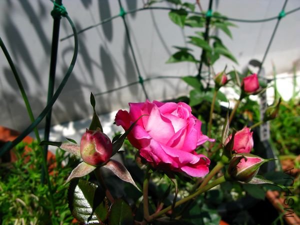 nEO_IMG_IMG_0001.jpg