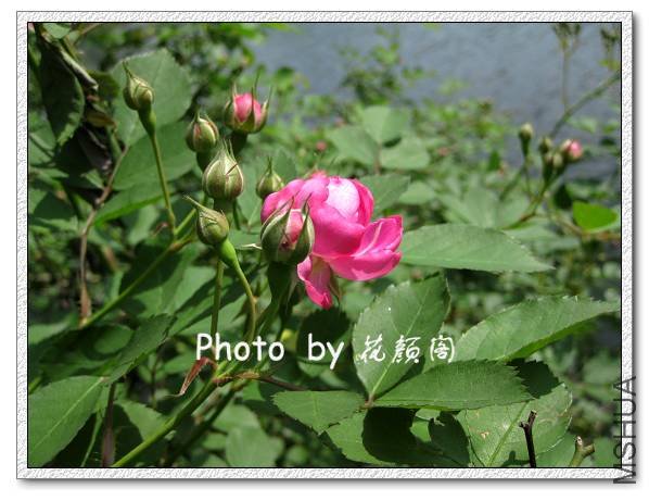 ����  ���.jpg