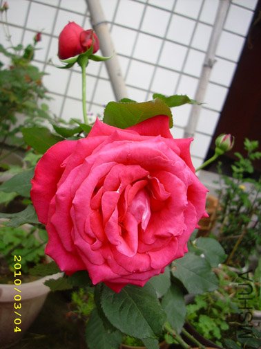 DSCI0099.jpg