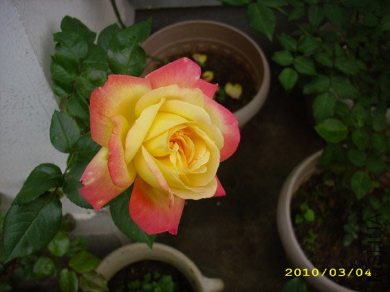 DSCI0093.jpg