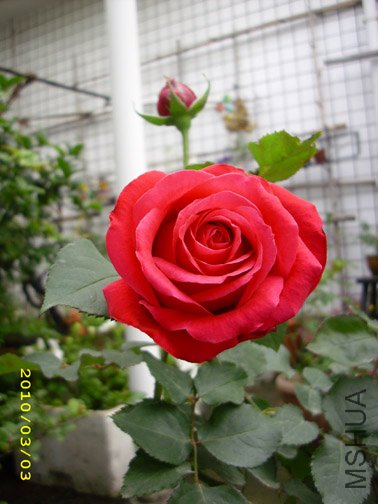 DSCI0054.jpg