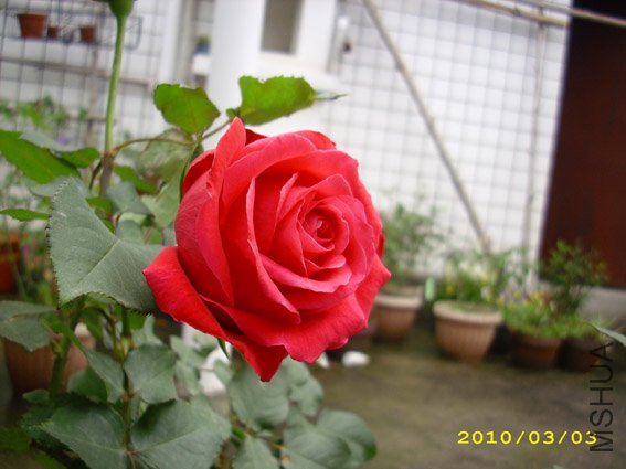 DSCI0055.jpg