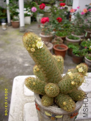 DSCI0177.jpg