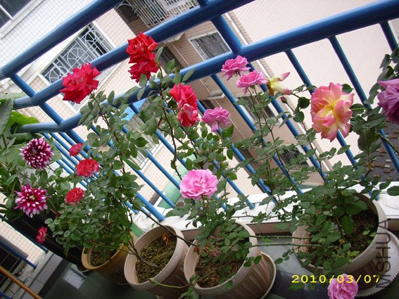 DSCI0211.jpg