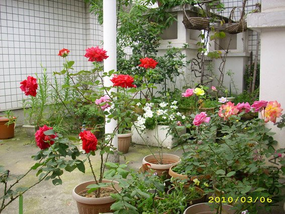 DSCI0173.jpg