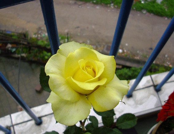 DSCI0224.jpg