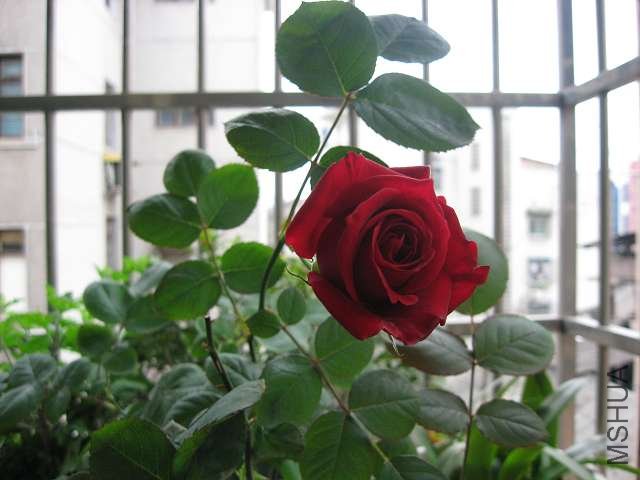 IMG_3380.JPG