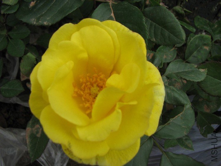 ������¼���10Ԫһ��