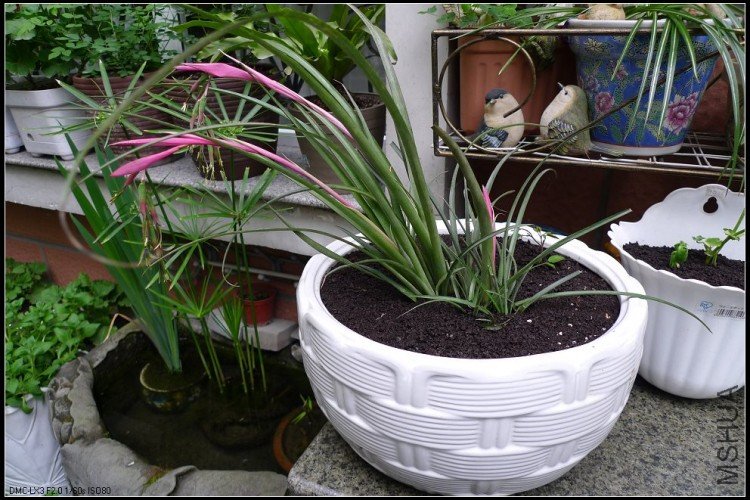 ��ѧ��ͬѧ���ҵ�һ�û�