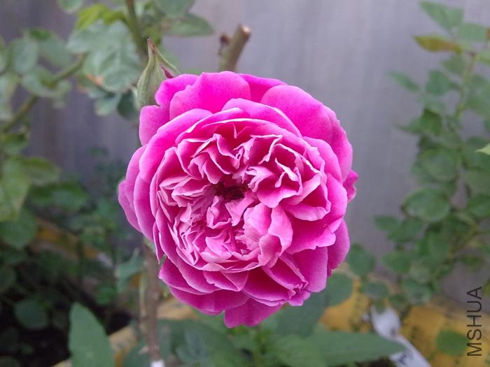 201004251536.jpg