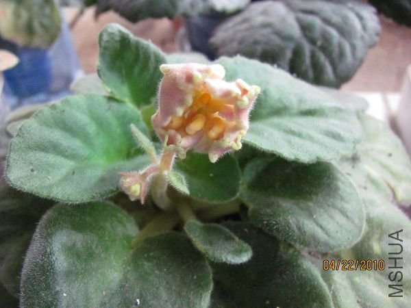 ��Ƭ 028.jpg
