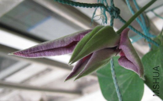 2010-04-26 ������.jpg