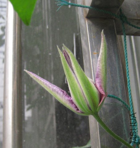 2010-04-26 ������2.jpg