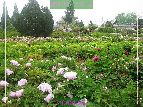 nEO_IMG_��Ƭ 095.jpg