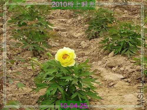 nEO_IMG_��Ƭ 175.jpg