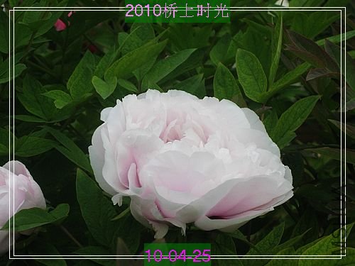 nEO_IMG_��Ƭ 129.jpg