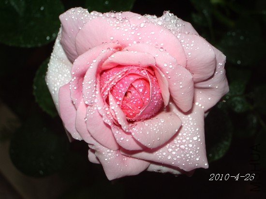 IMGP7346M.jpg