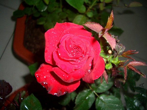 ����1(4��26��).jpg