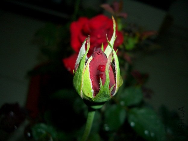 ����3(4��26��).jpg