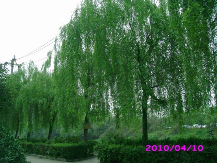 IMG_0073.JPG