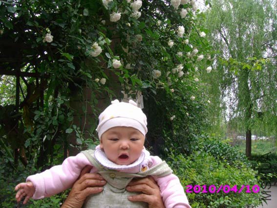 С�һ�Ҳ���մ�����