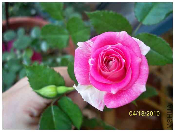 �ɾ�10-04-13-C.jpg