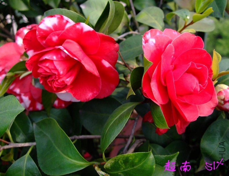 ����  10-4-24(1).jpg