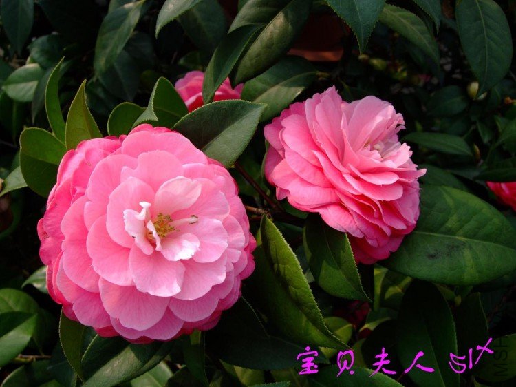 ��������  10-4-24 (3).jpg