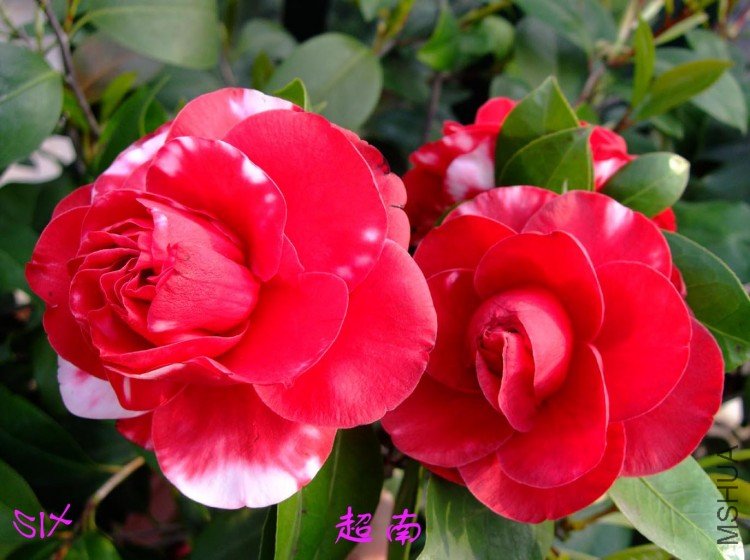 ����  10-4-24 (2).jpg