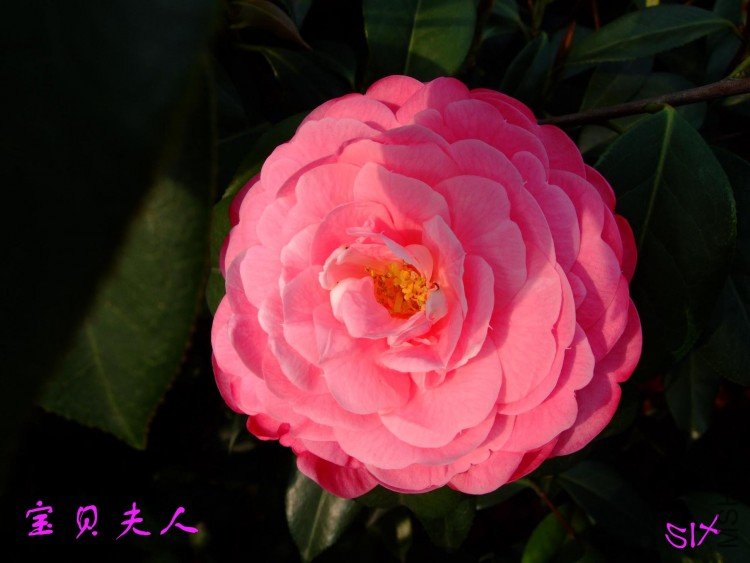 ��������  10-4-24 (2).jpg