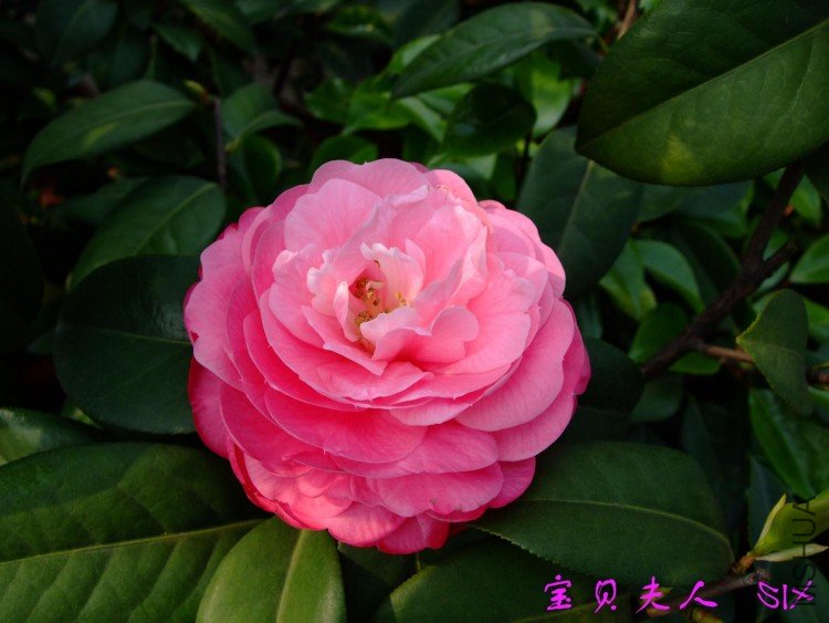 ��������  10-4-24(1).jpg