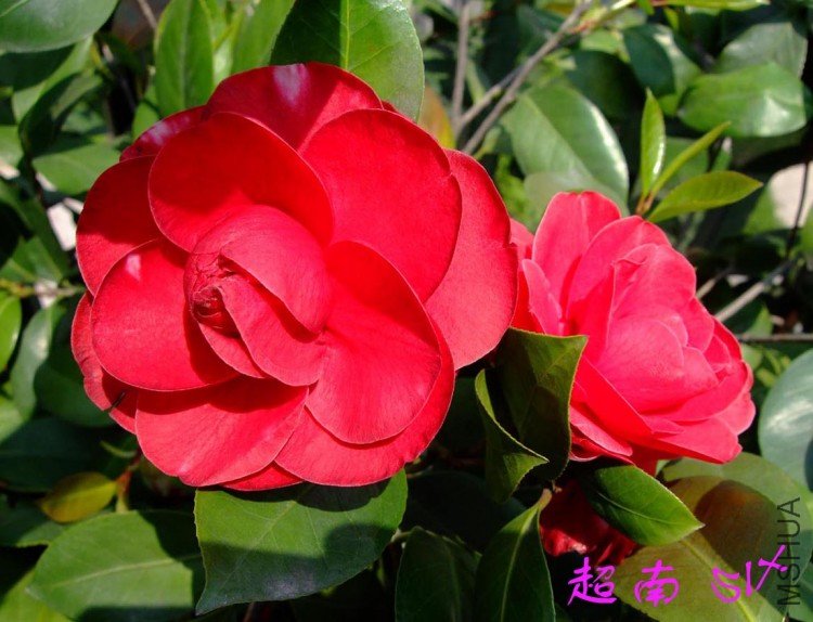 ����  10-4-24 (3).jpg