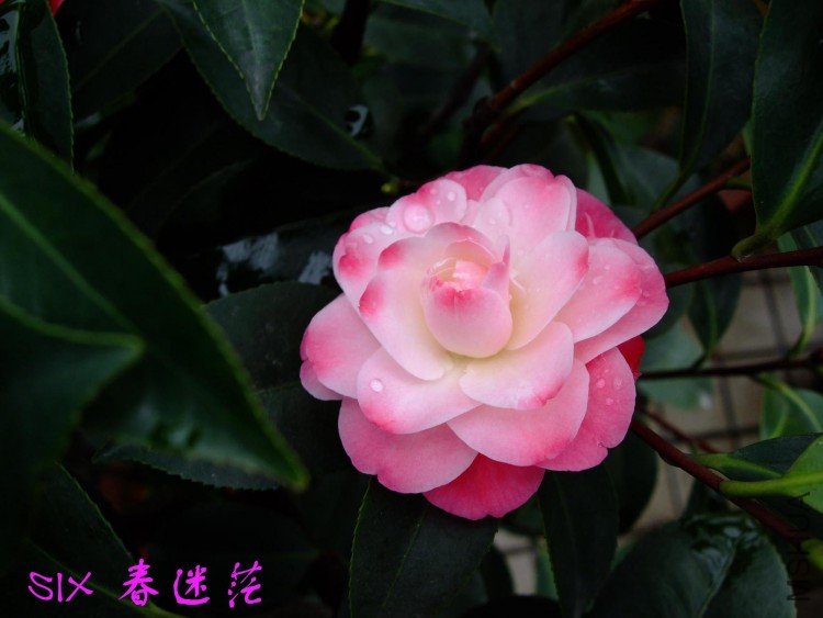 ����ã 10-4-26(1).jpg