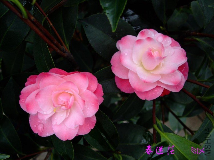 ����ã 10-4-26 (2).jpg