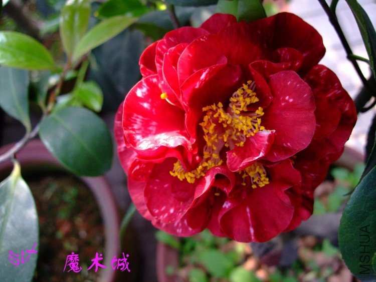 ħ����  10-4-24 (2).jpg