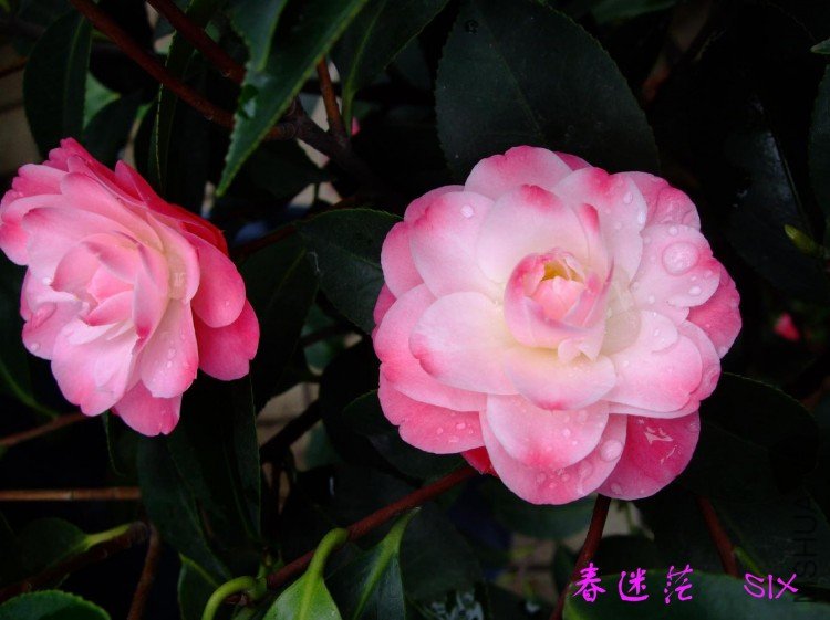 ����ã 10-4-26 (3).jpg