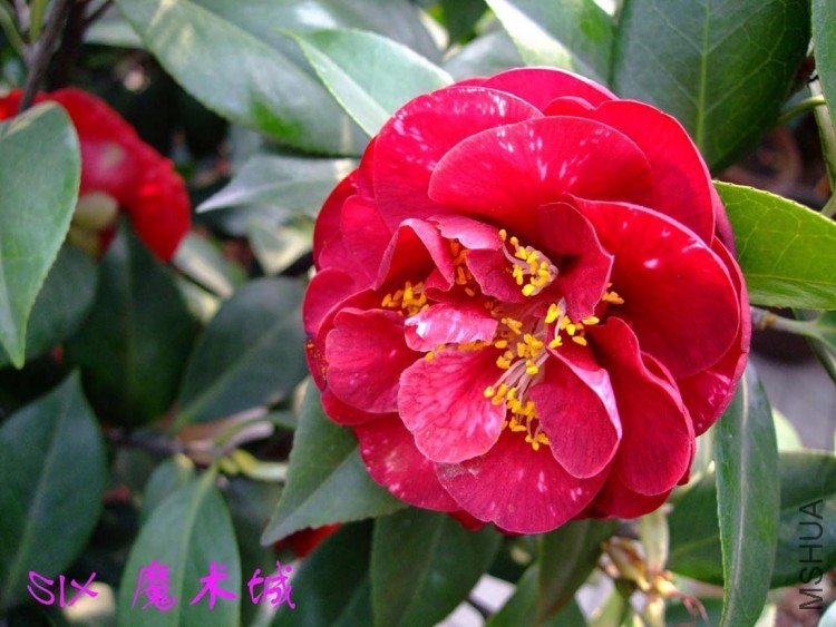 ħ����  10-4-24(1).jpg