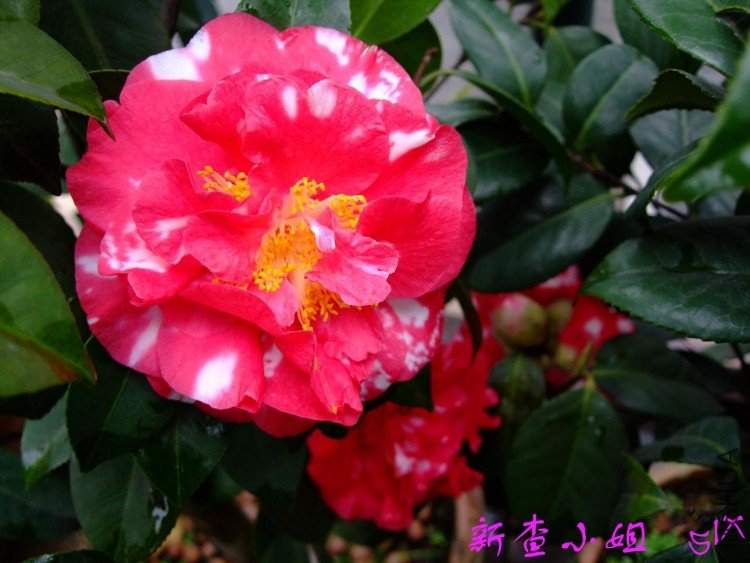 �²�  10-4-26(1).jpg