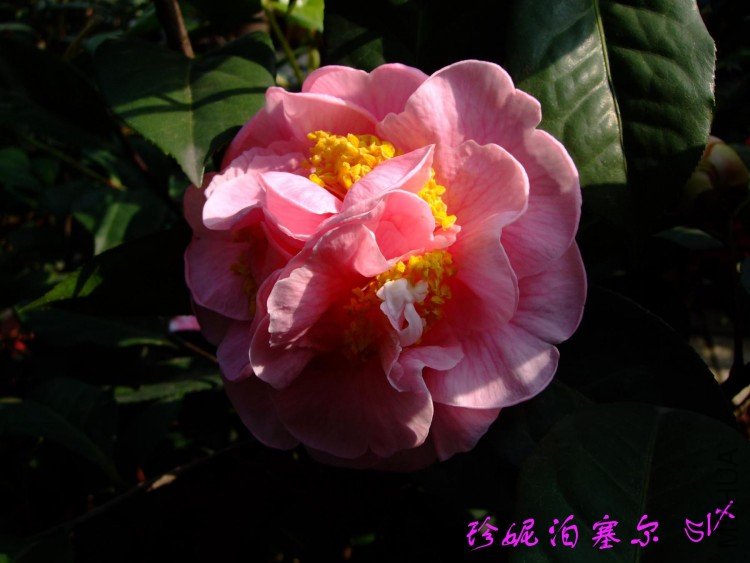 ���ݲ�����  2010-4-23.jpg