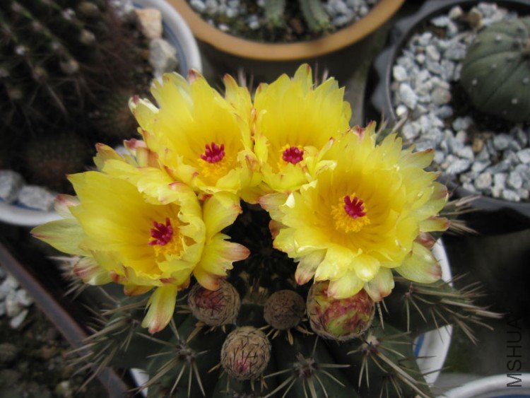 IMG_0367.JPG