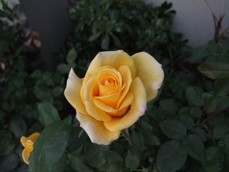 DSCF0767.JPG