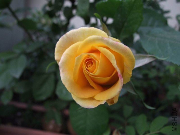 DSCF0769.JPG