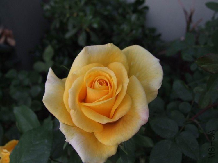 DSCF0772.JPG