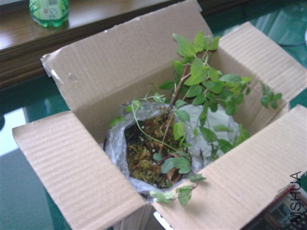 20100427293_����.jpg