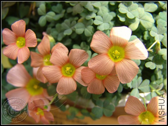 ���������ǿ����