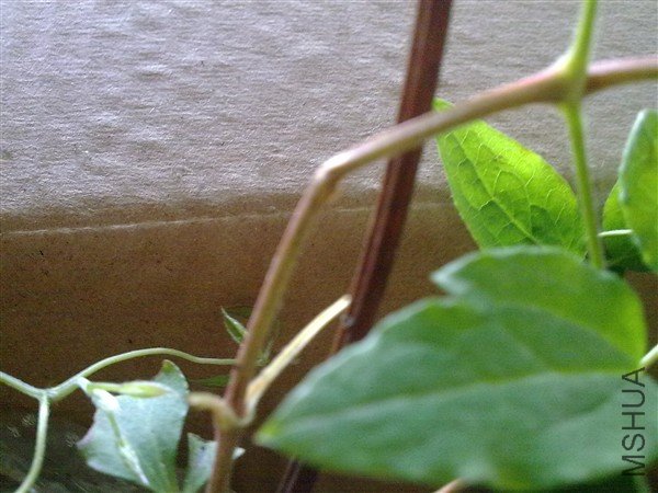 20100427294_����.jpg